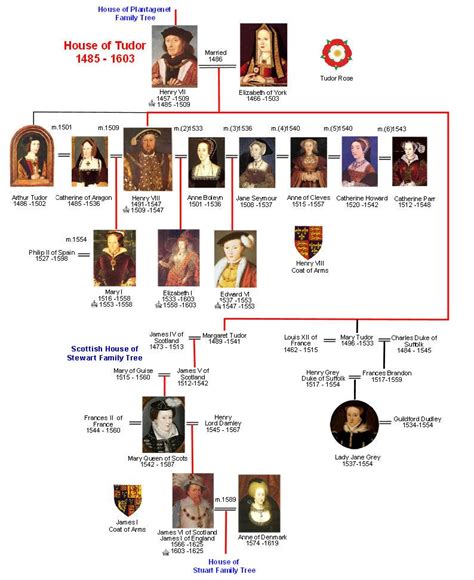 the tudor line|elizabeth tudor family tree.